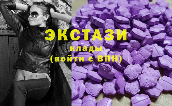 СК Богородск