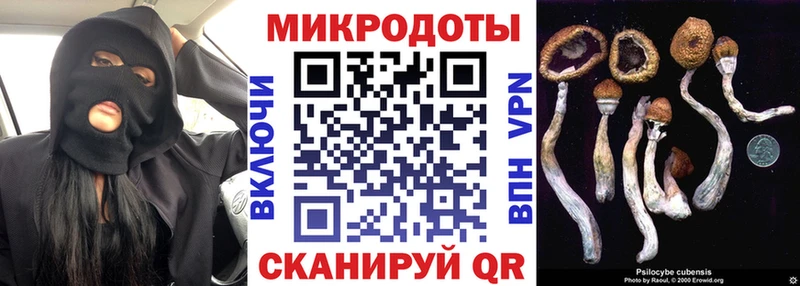даркнет сайт  Жуковский  Галлюциногенные грибы GOLDEN TEACHER 