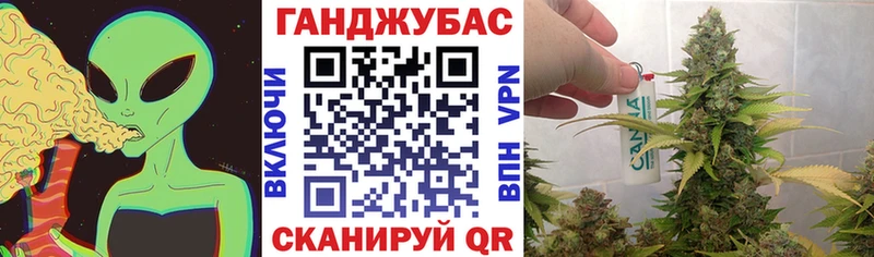 Бошки Шишки White Widow  маркетплейс какой сайт  Жуковский  MEGA рабочий сайт 